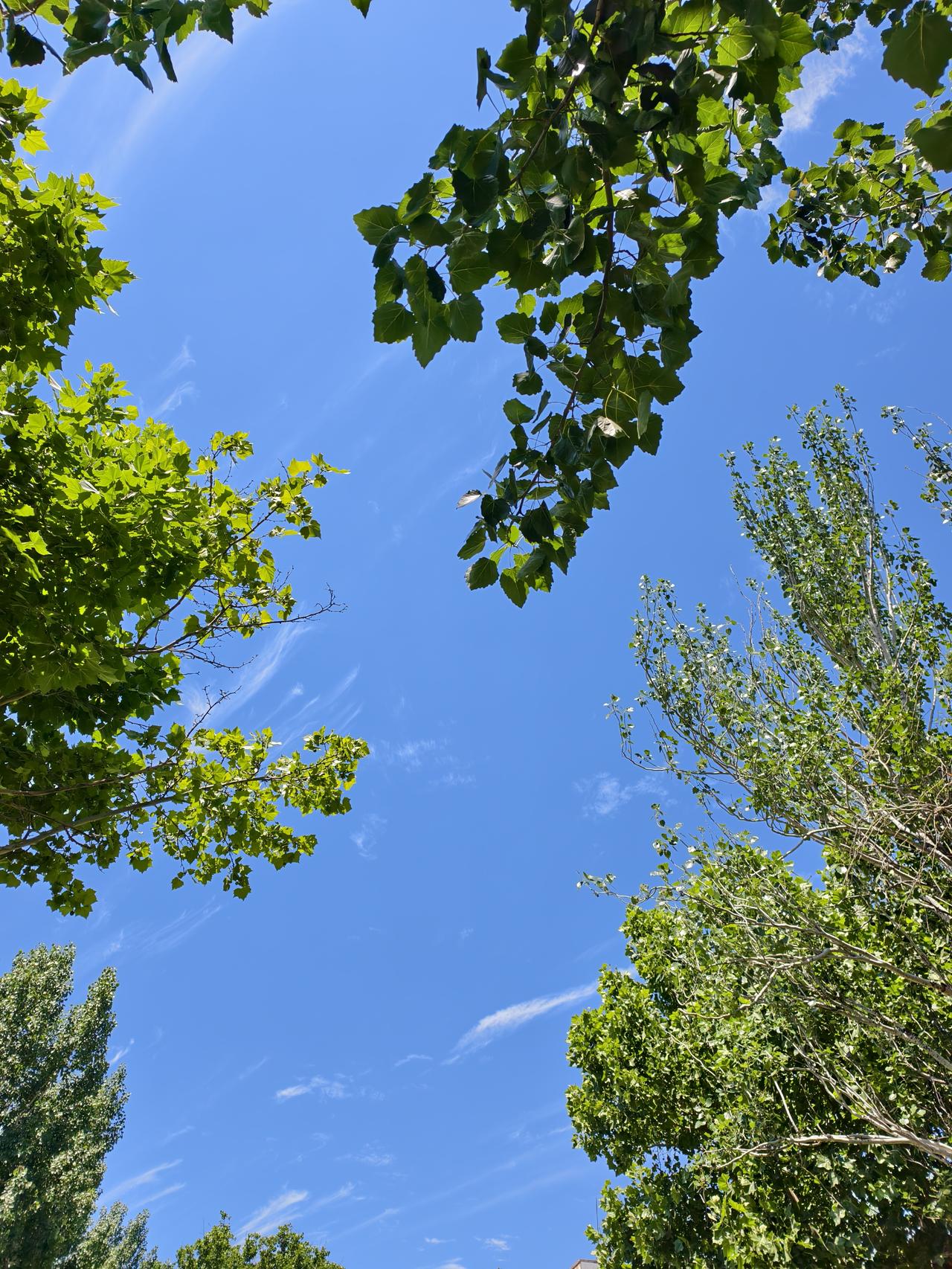 浩瀚宇宙，天空之美，每一次抬头仰望天空，都有不同的景观呈现！