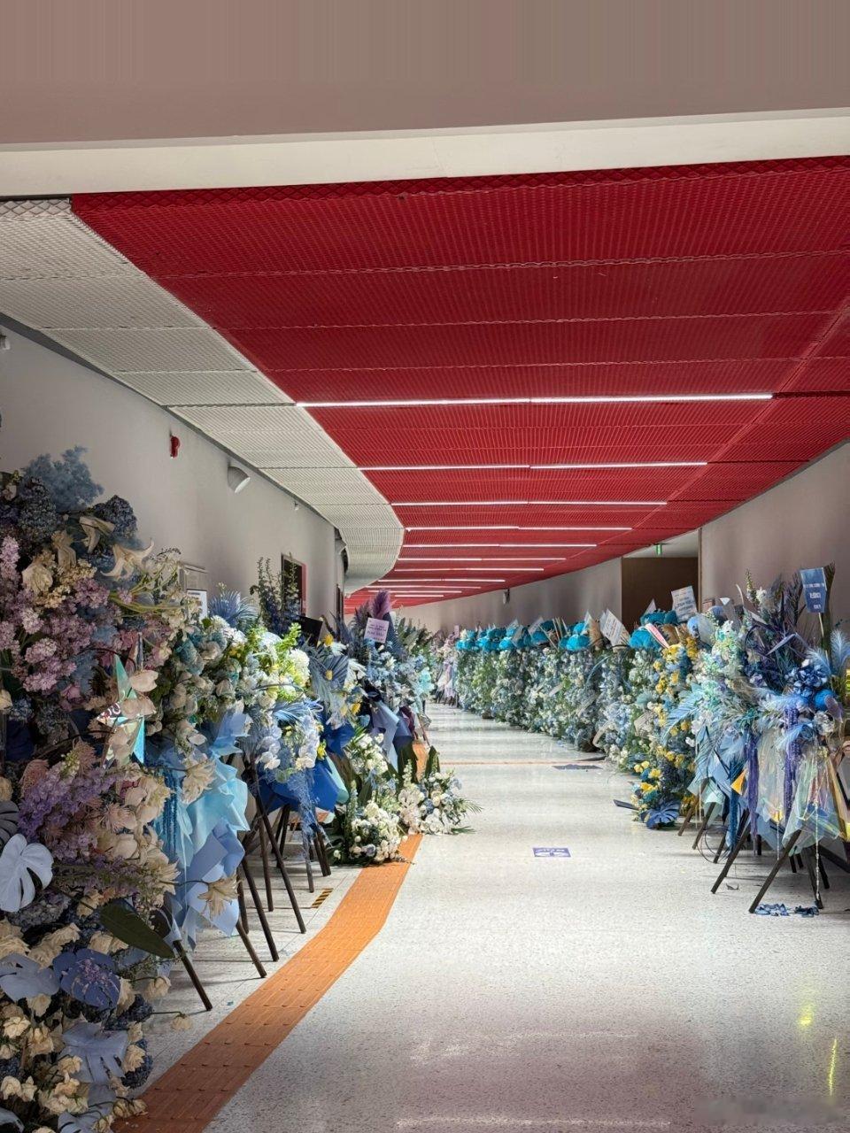 周深广州演唱会花墙，这排面怎么样？ 