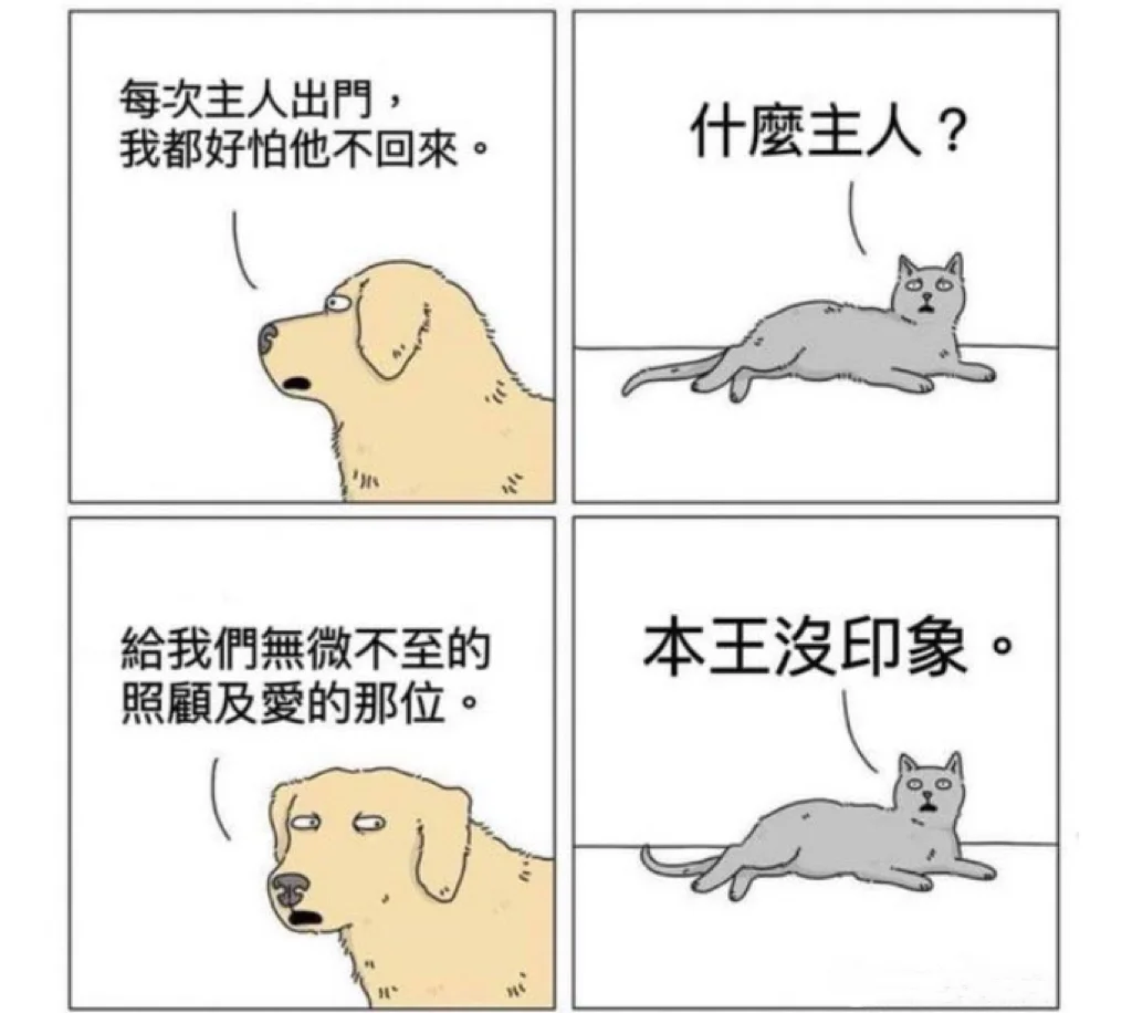 冷知识：猫不分主人，狗会分主人