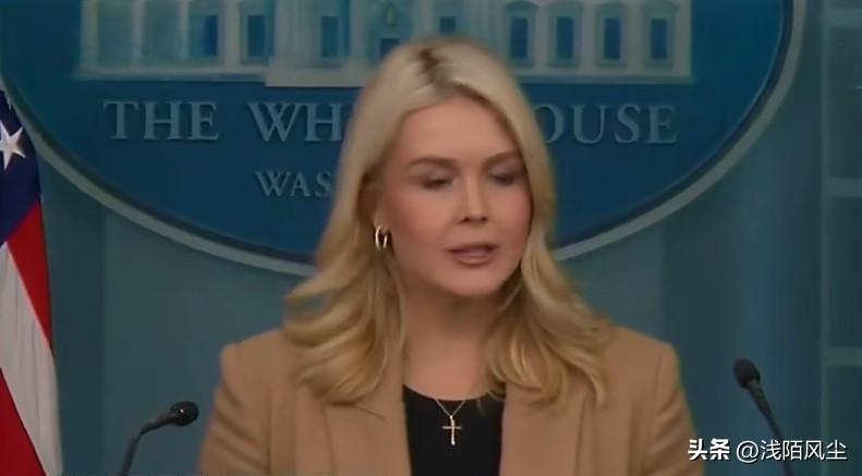 记者询问特朗普任命的格陵兰特使兰德里缺席会谈原因及职责。卡罗琳称，会议已由副总统