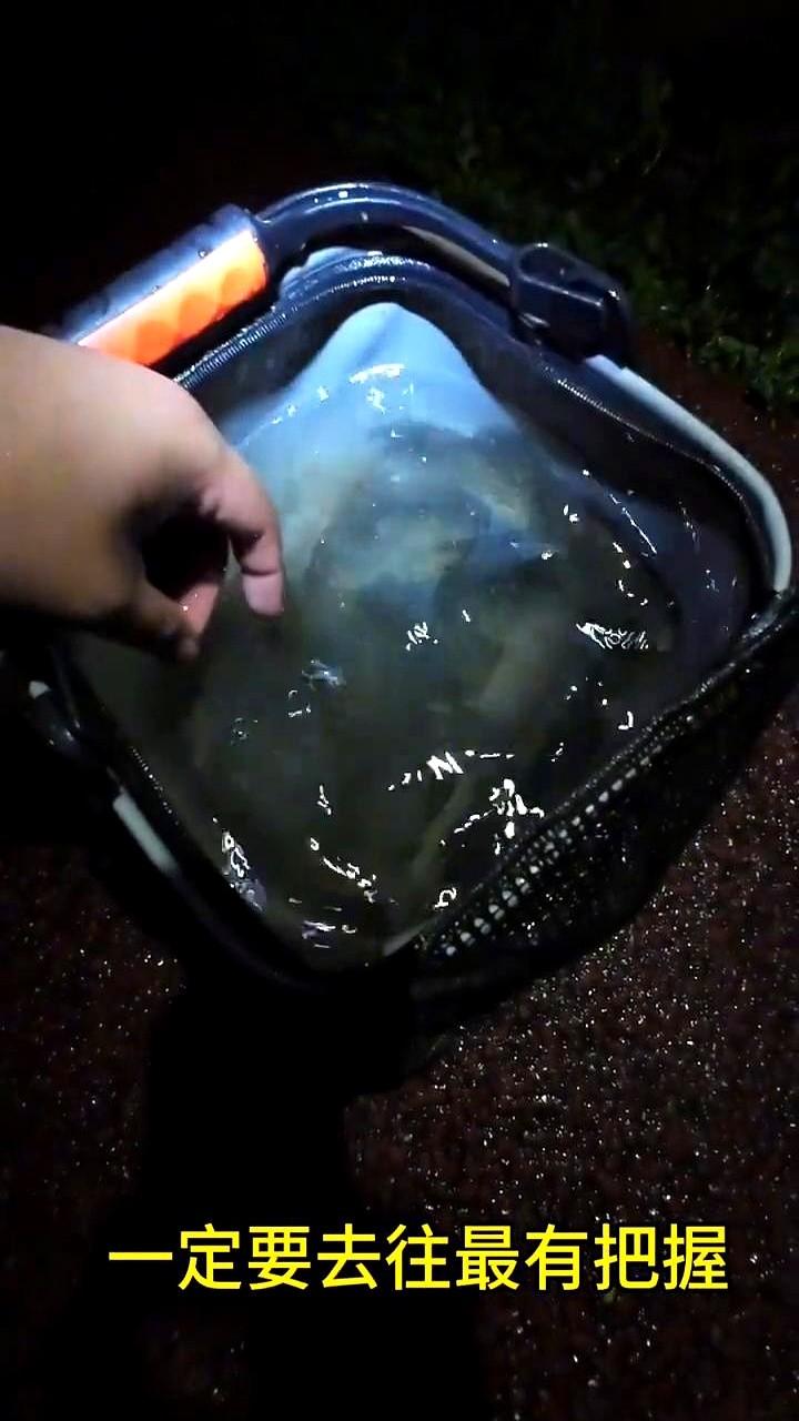 钓鱼佬的直觉，有时候真准得吓人！

在湘江搞了一条鲫鱼，立马感觉不对劲，这鱼情要