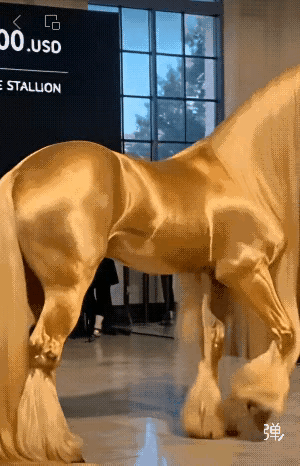 汗血宝马我知道，这个是属于什么品种？