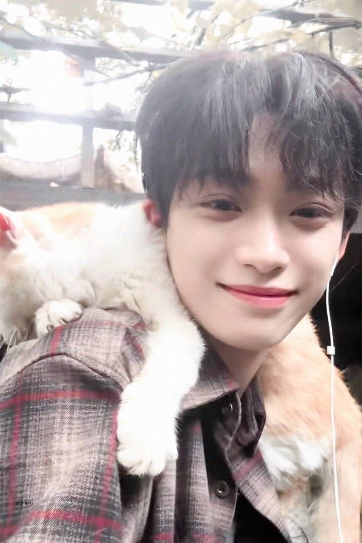 这里其实有两只小猫 ​​​