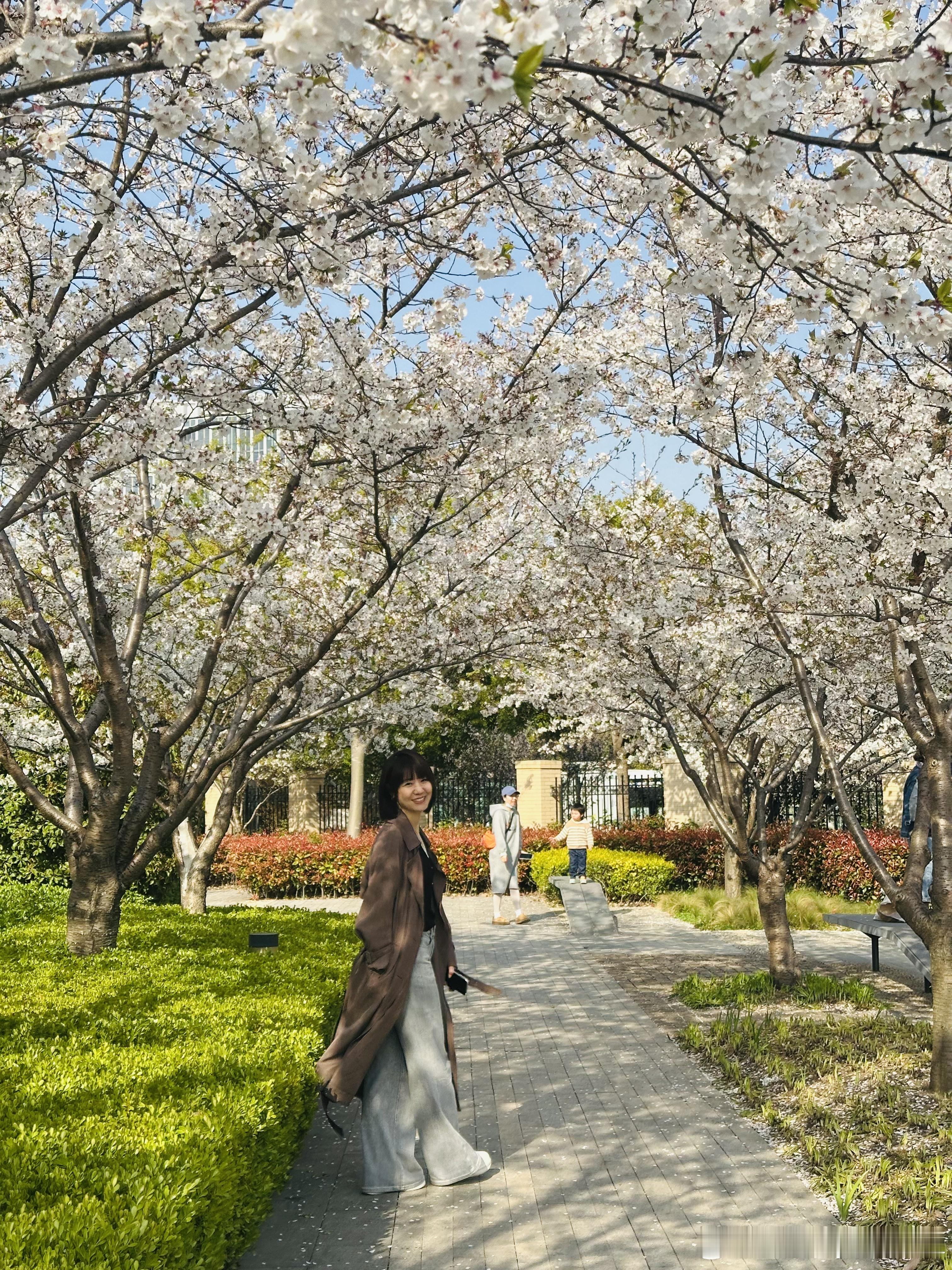 樱花开放的世界 