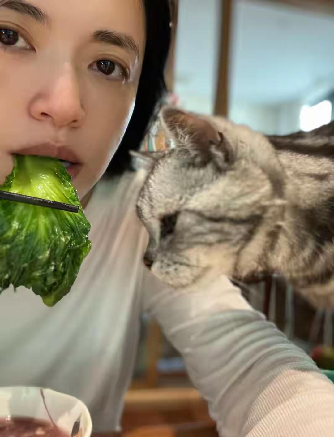 姚晨在社交平台晒出家中日常，院子里的石榴红了，山楂也能吃了，还有上的小花开得鲜艳