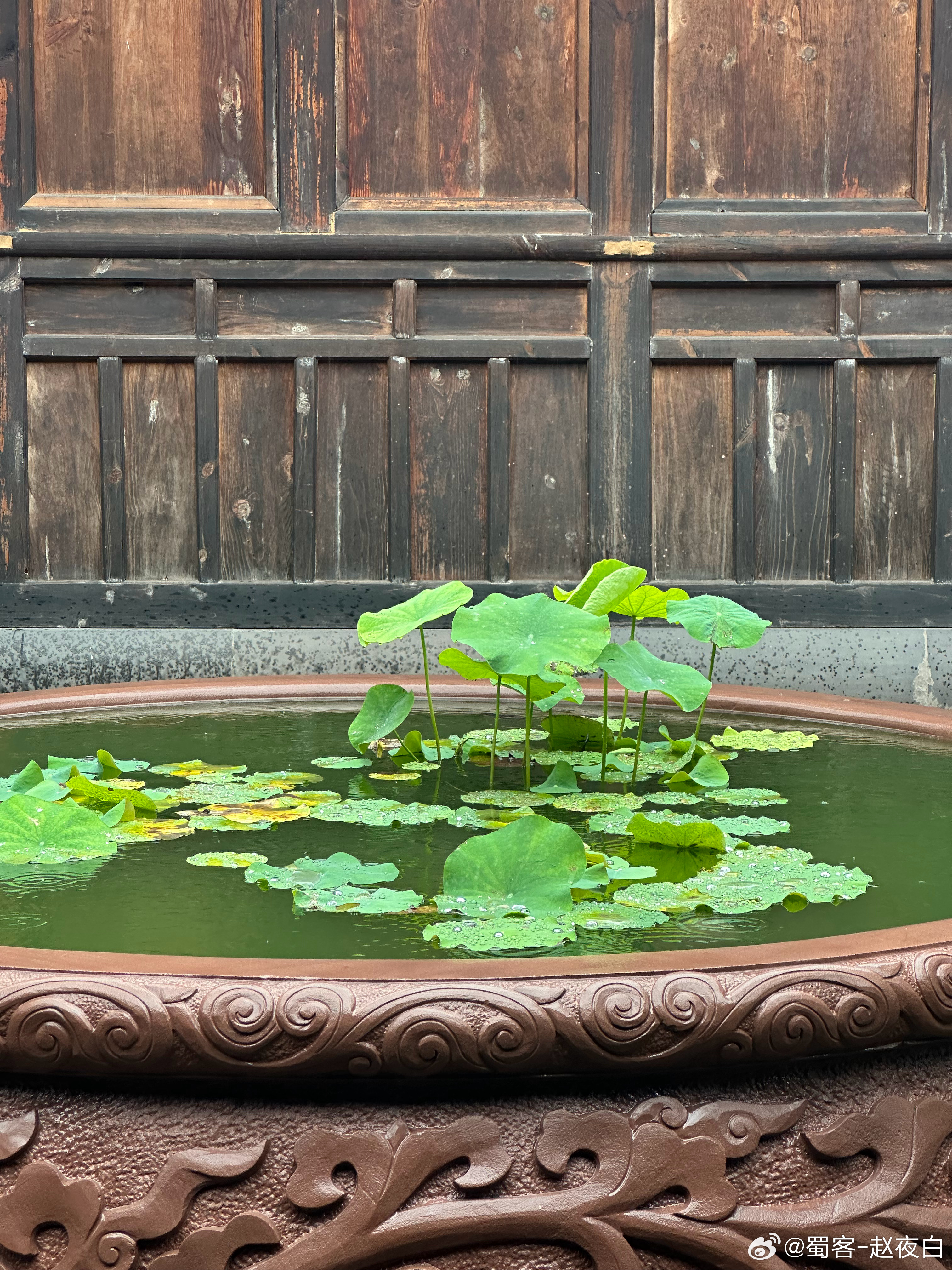 分享图片 成都·昭觉寺