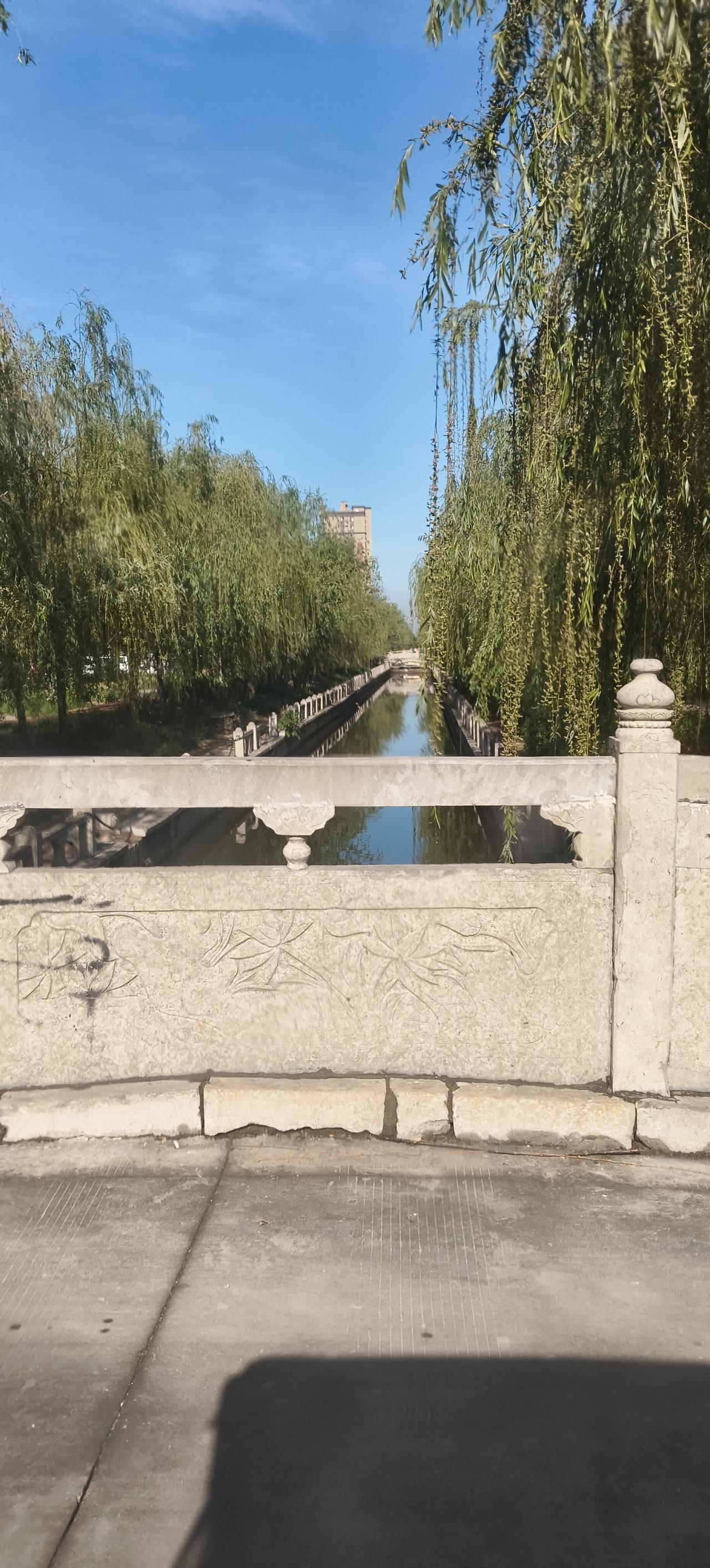 今天第一次走进这个小区，就被中心穿过的小河狠狠拿捏了。
河水清澈见底，能看到水底