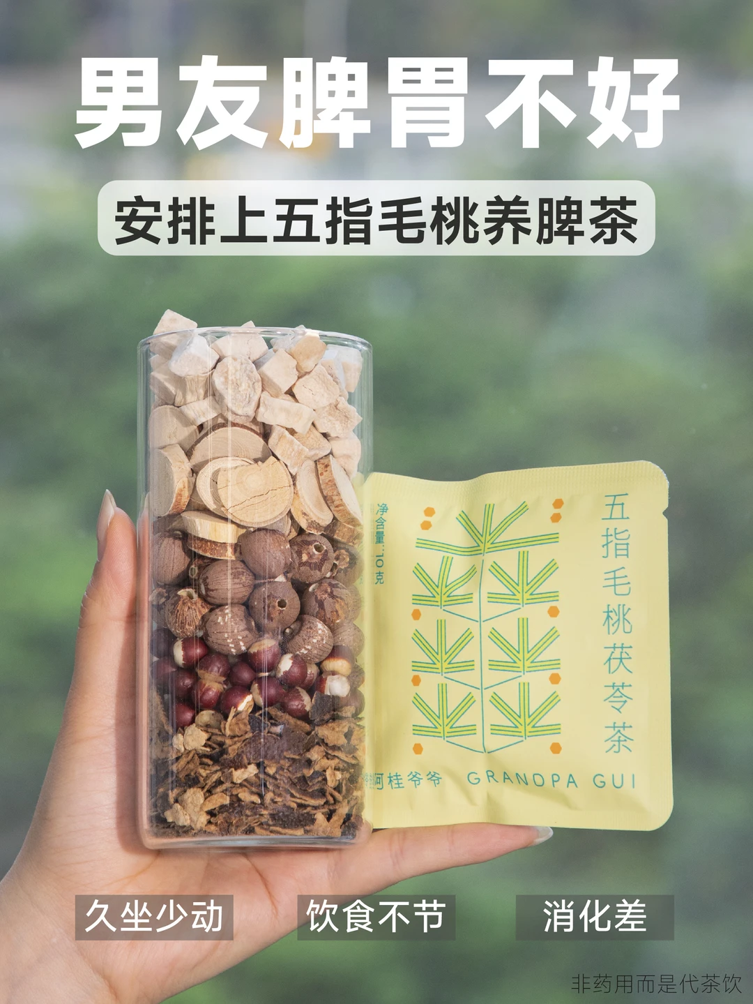 给脾胃不好的男友，安排的五指毛桃养脾茶