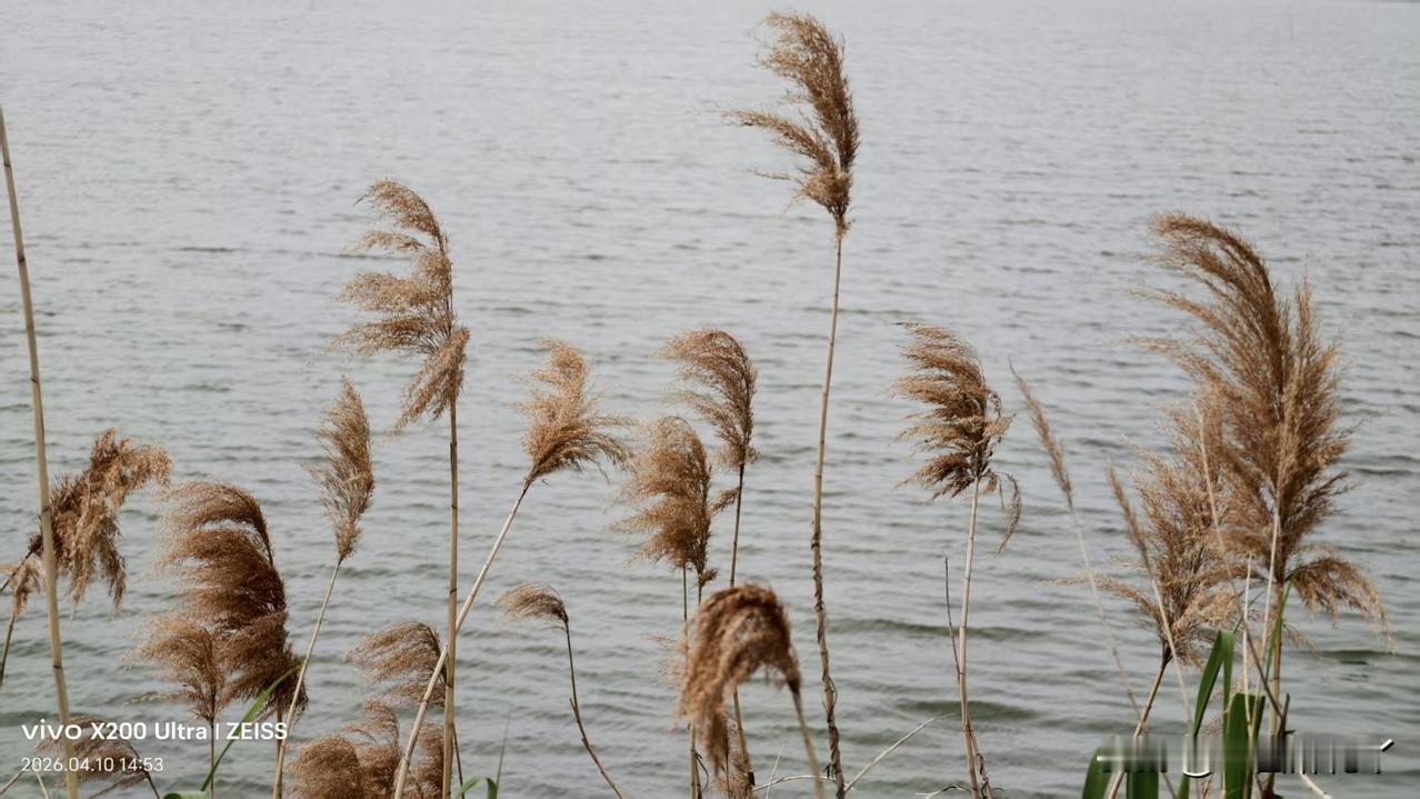 亲们，不要总纠结“麻花丫写这个不好”，“麻花丫这样做不好”，“麻花丫那样做不好”