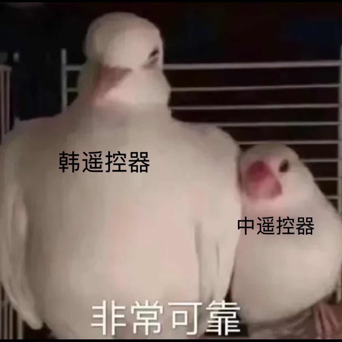 韩遥控器太硬气了 