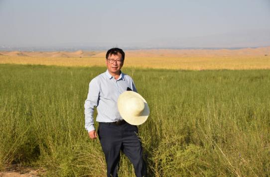 我国工程界大乌龙事件！2009年，重庆交通大学教授易志坚在研究物质力学时，意外发