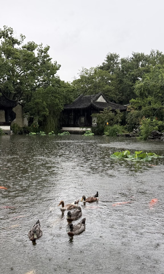 此刻！暴雨中的苏州园林美爆了！！！！！！！！！！！！！