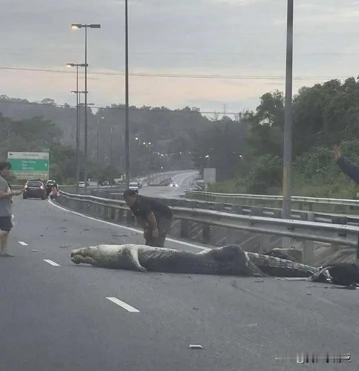 地点靠近汶莱Penanjong桥的高速公路上