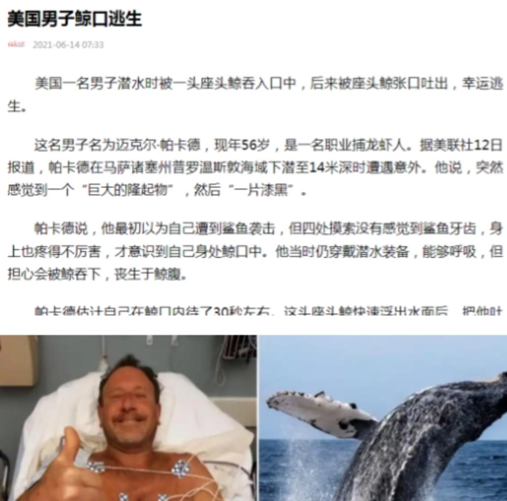 2021年，美国一男子在海底潜水捕龙虾时，冷不丁被15米长的座头鲸一口吞进嘴里！