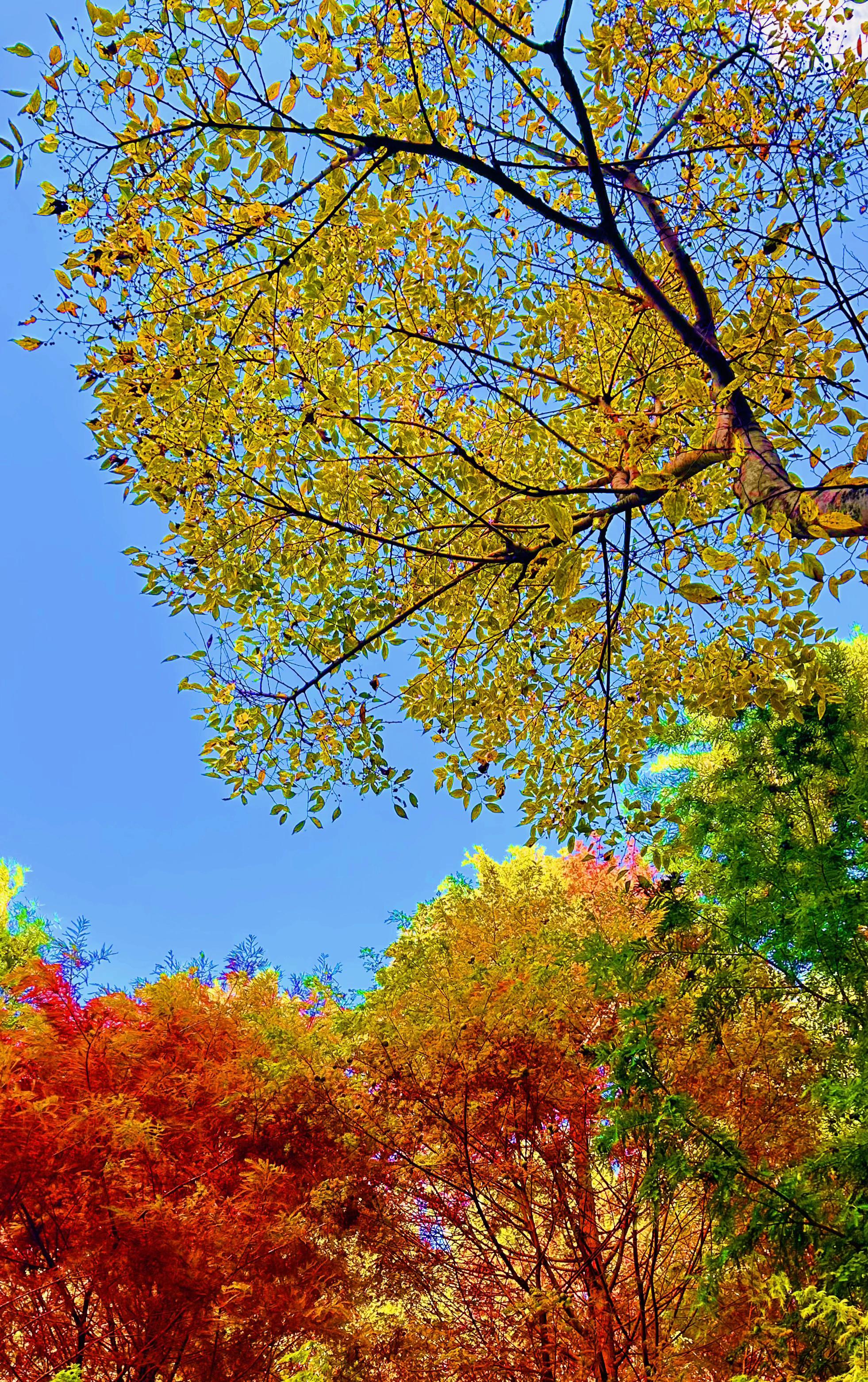 只要配上这个音乐感觉就不一样。