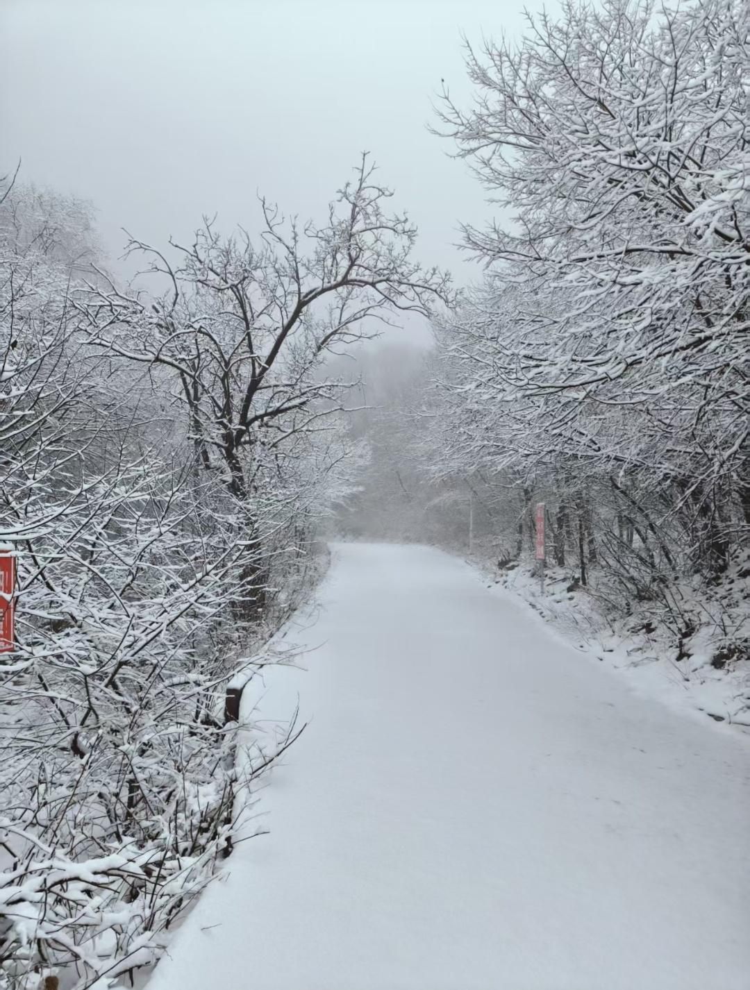 济南龙洞雪淞景观