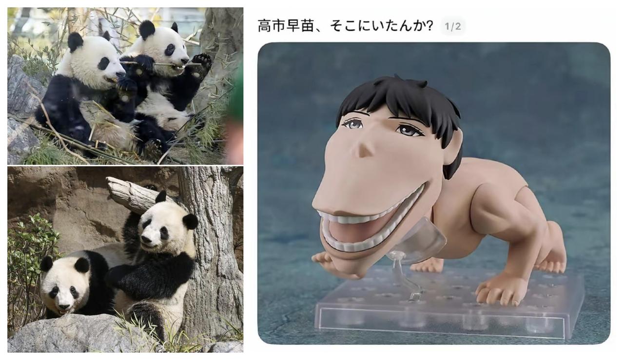 ✨不要再轻易送大熊猫了✨

🐼 贫道个人提一个建议，中国今后选择送大熊猫的国家