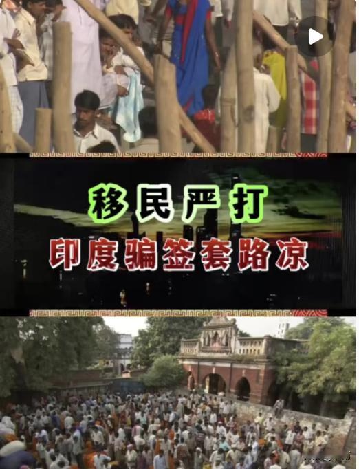 深圳这波操作直接让在华印度IT圈慌到脚软！23人因简历造假被抓，学历、工作经历全