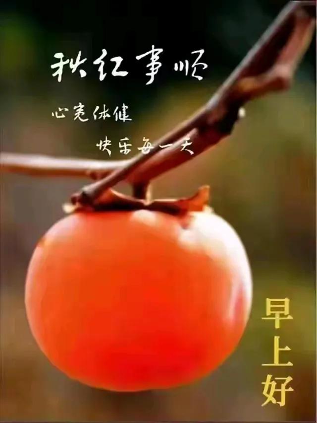 明天，即将立冬了哦。。。
天气预报，寒潮已袭卷了北方。。。
这江南，也将降温到个