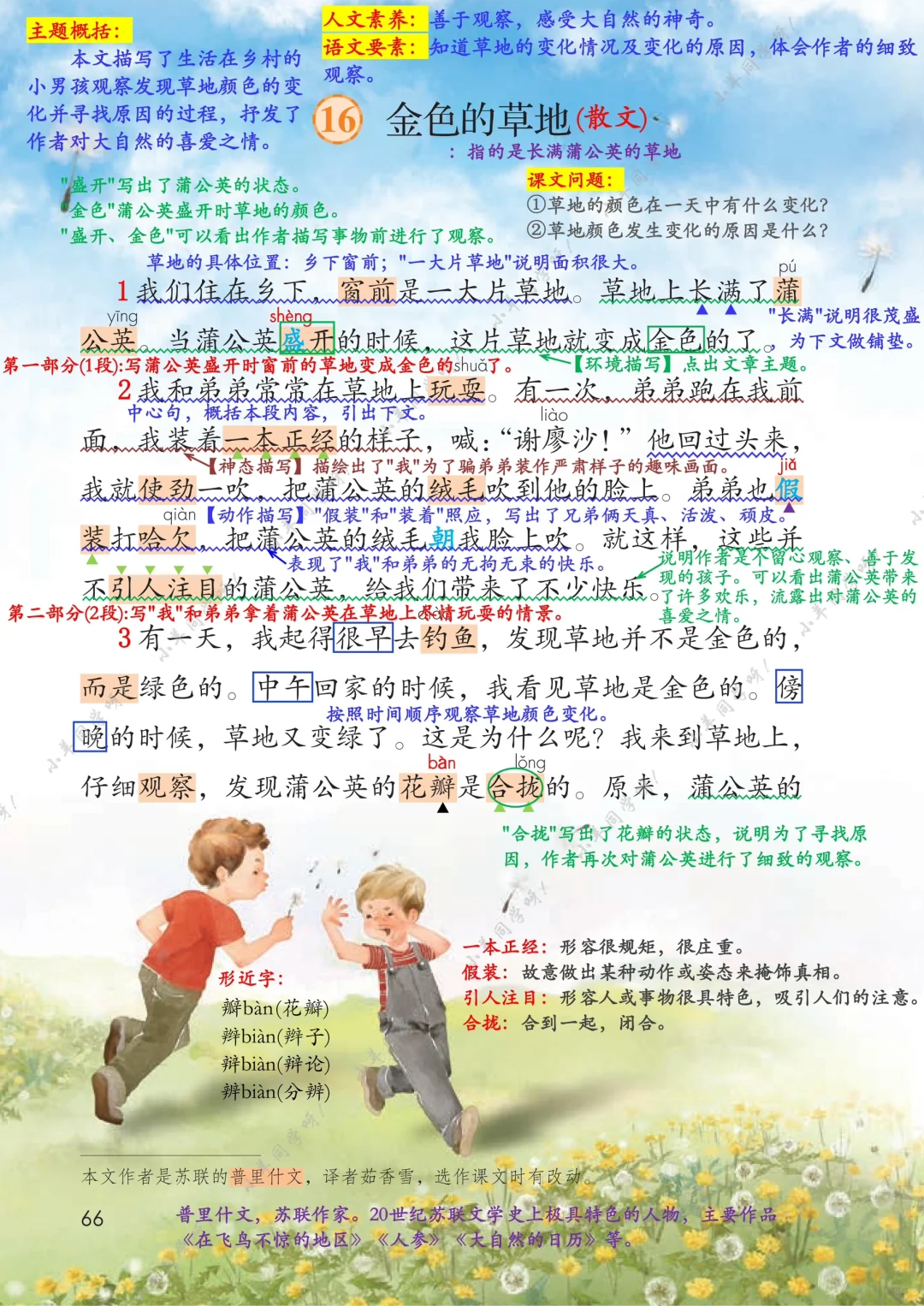 三年级上册🌻第16课《金色的草地》