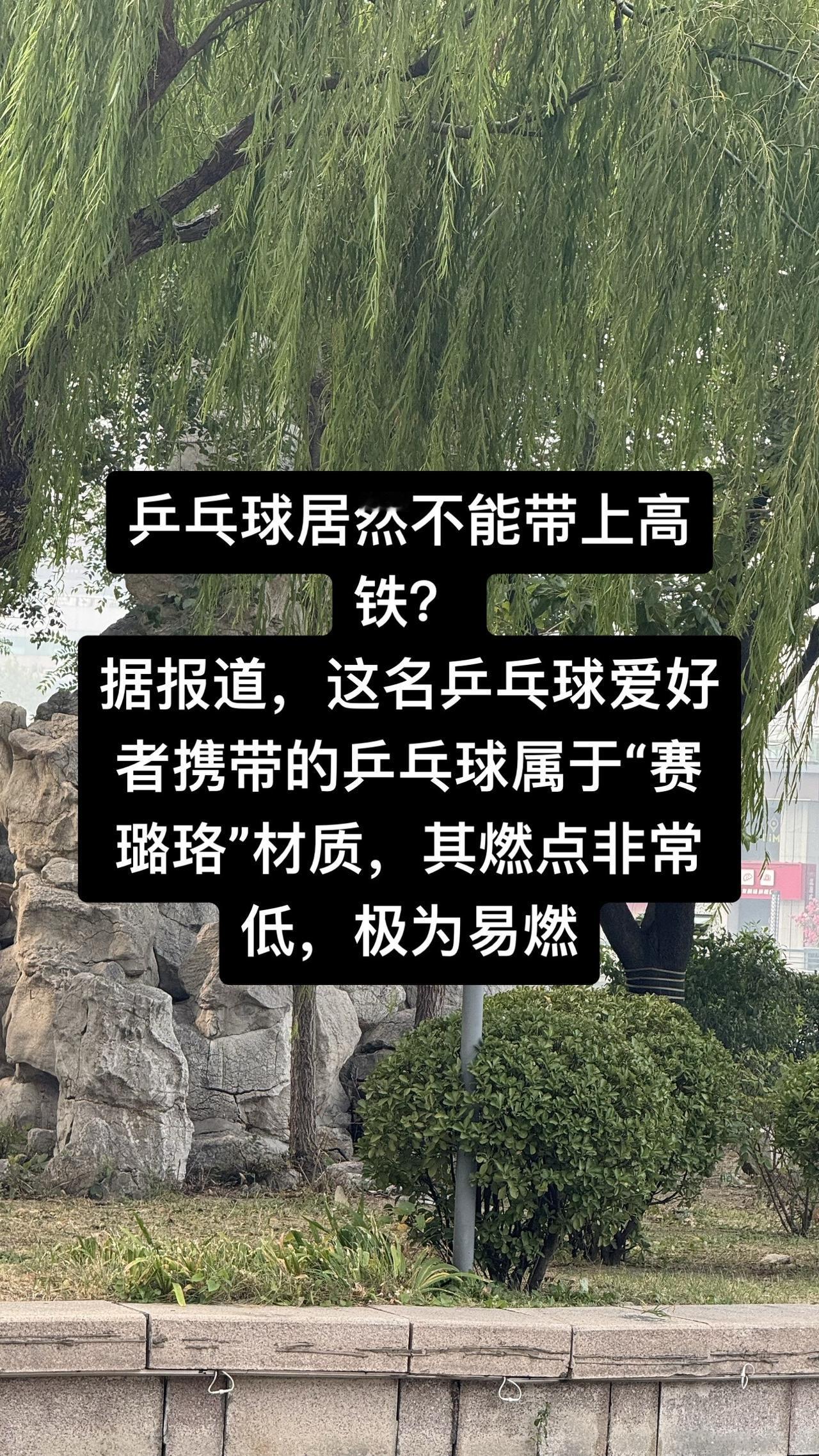 而根据《铁路旅客禁止、限制携带和托运物品目录》，这种材质的乒乓球属于易燃固体，禁