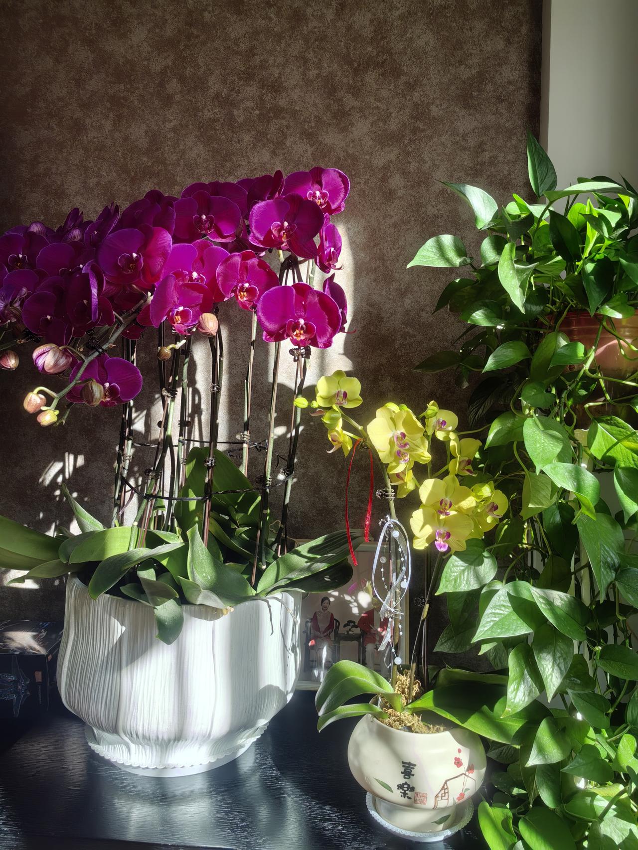 今年，儿子把年夜饭订在了下午三点半到五点半。
起初还想，这个时间段，是不是太早了