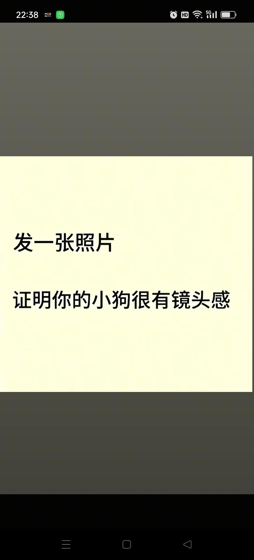 修狗。可爱到爆炸💥宠物vlog