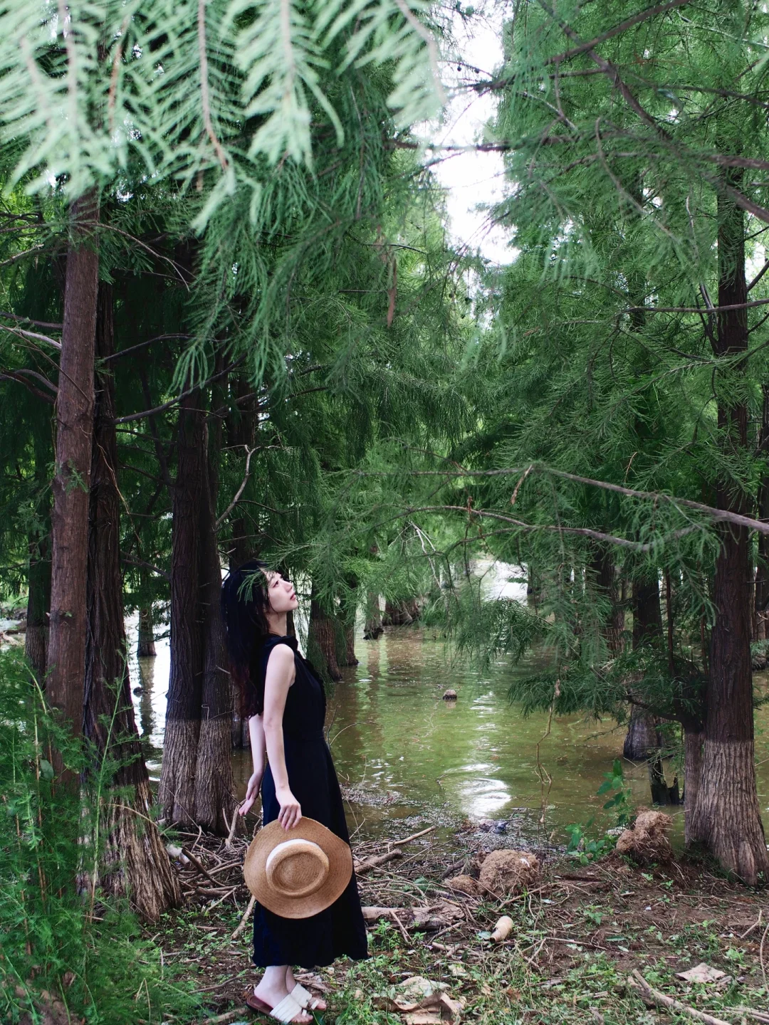 南昌🍃误入绿野仙踪🌲