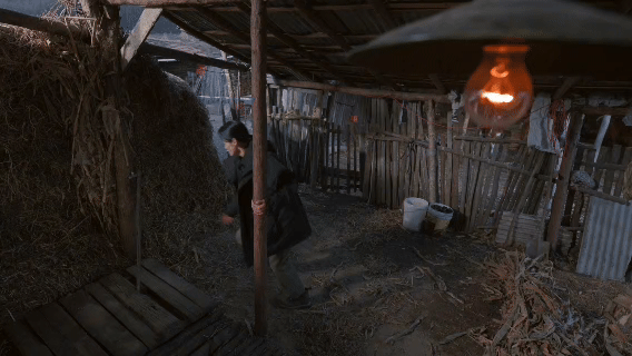 隐身的名字铁链女被囚地窖17年 十七年的黑暗里，那点缝隙透进来的光成了活下去的念