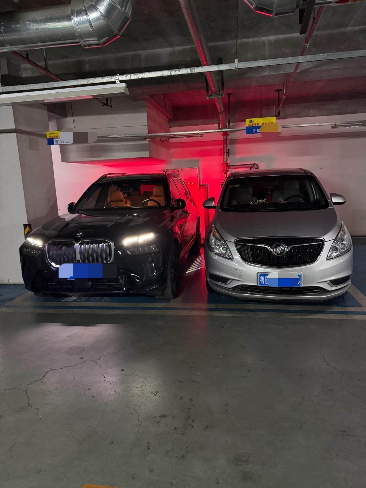 欢乐中国年，不待扬鞭自奋蹄