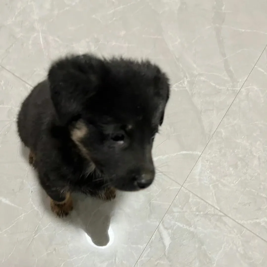 明天再上一天班