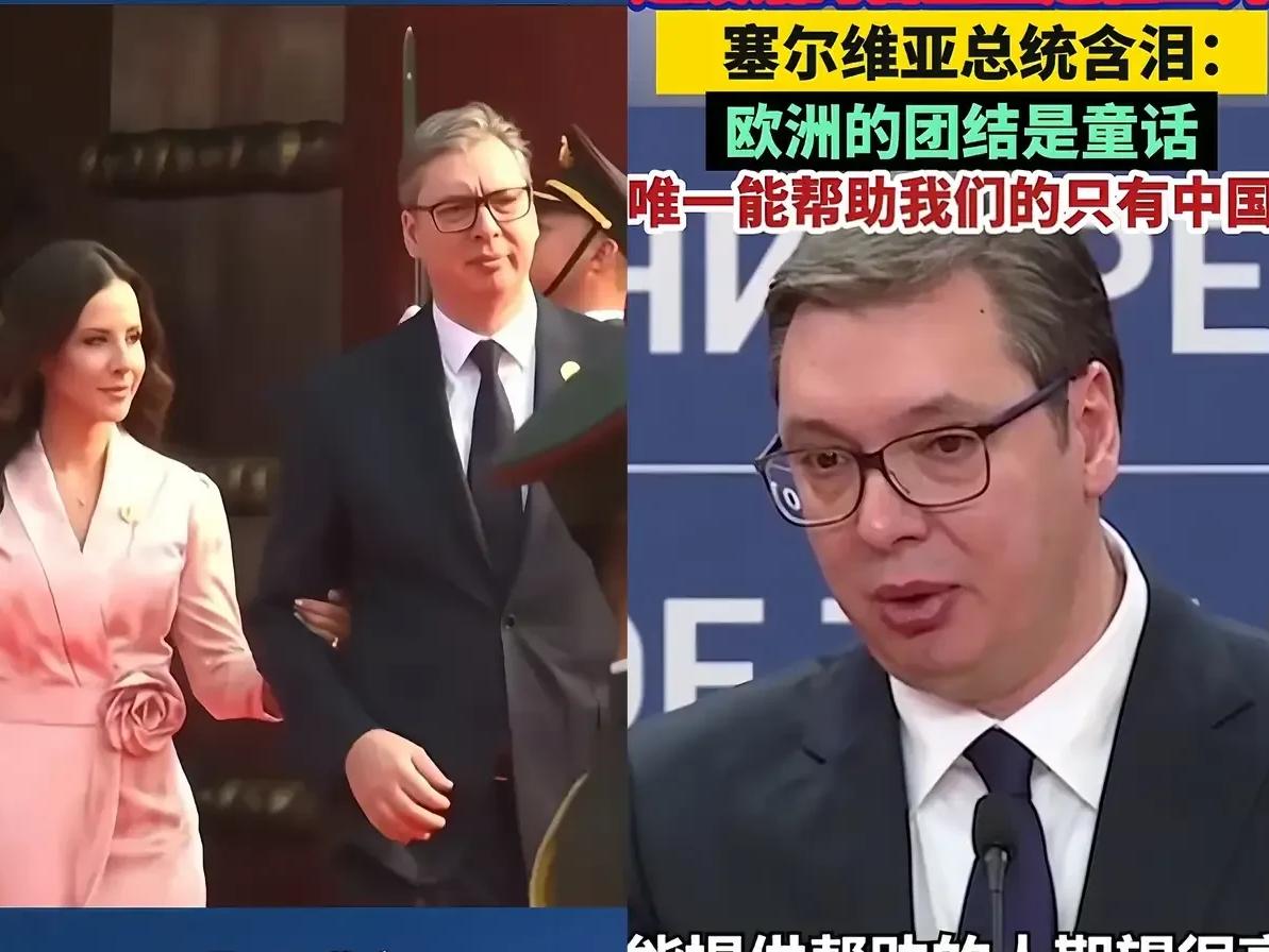 塞尔维亚总统进场时，掏出手帕擦拭眼睛动作令人动容，更是让人心疼。他是真珍视与中国