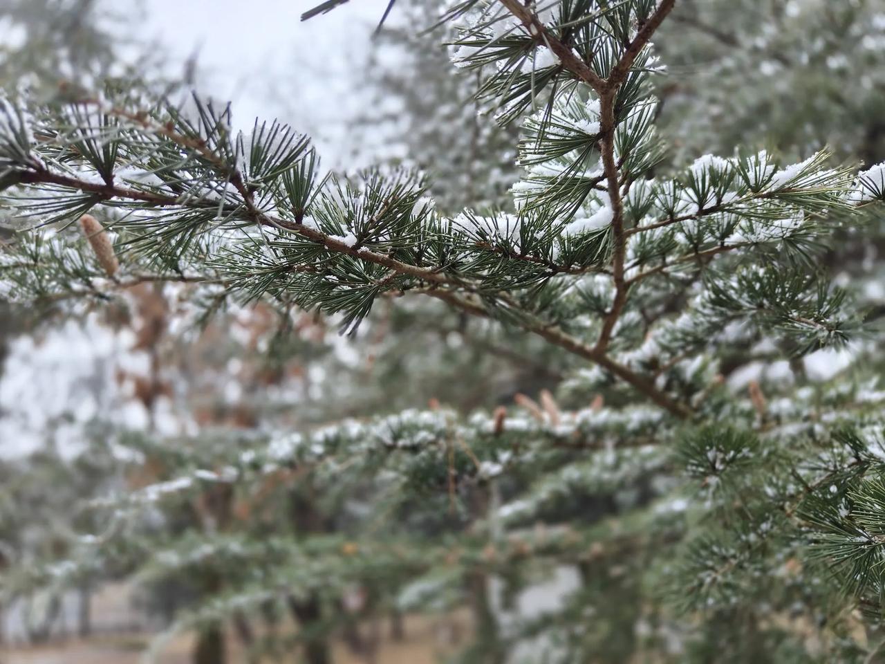 2026最想实现的一件事平安健康快乐！