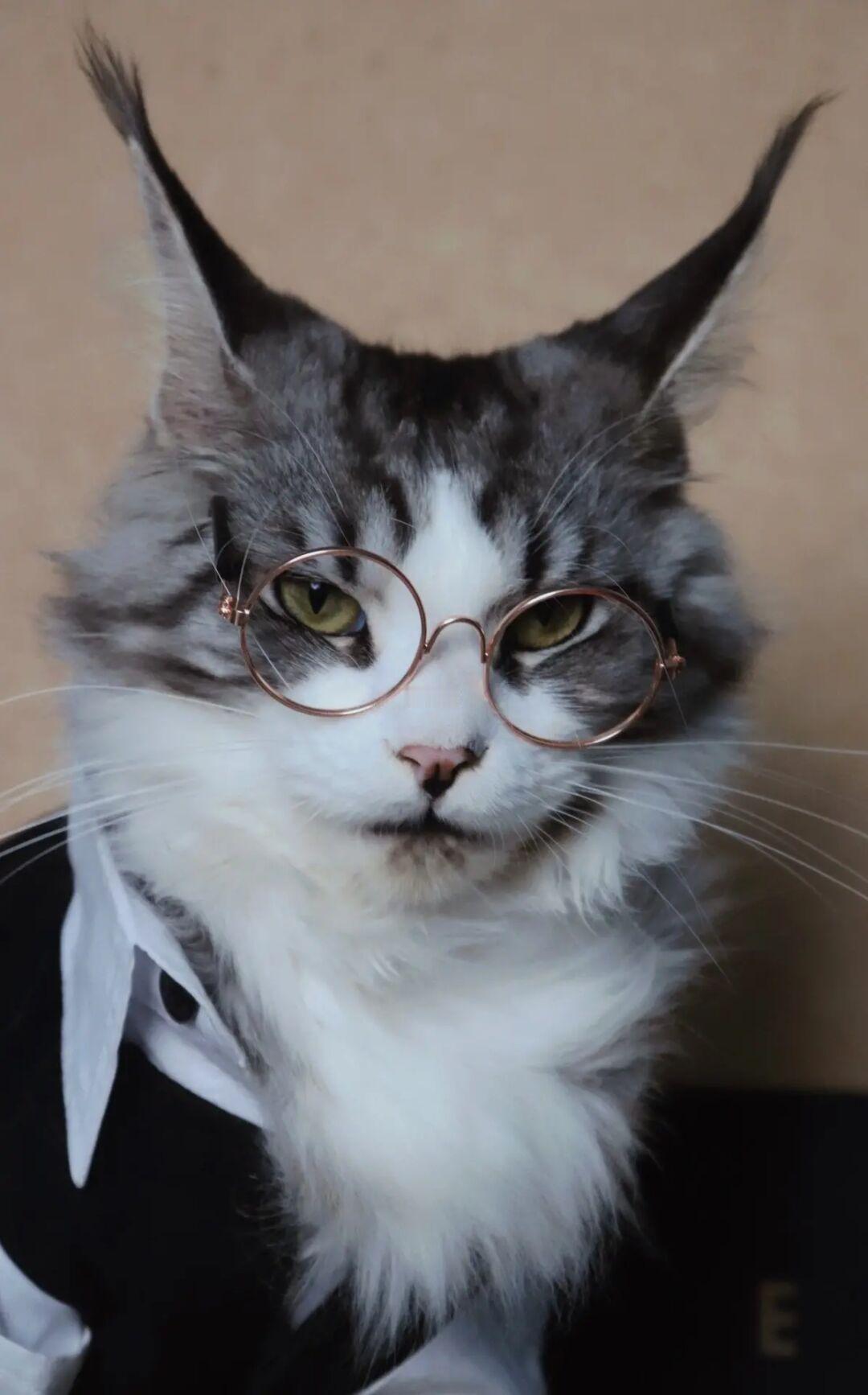 我还是喜欢你纯欲风