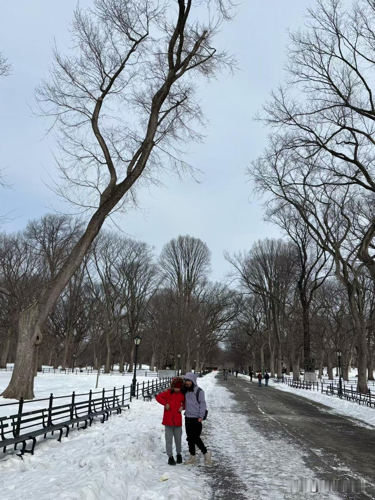 冷透了的曼哈顿中央公园别有一番风味。近日美国东北部大范围降雪，中央公园被银装素裹