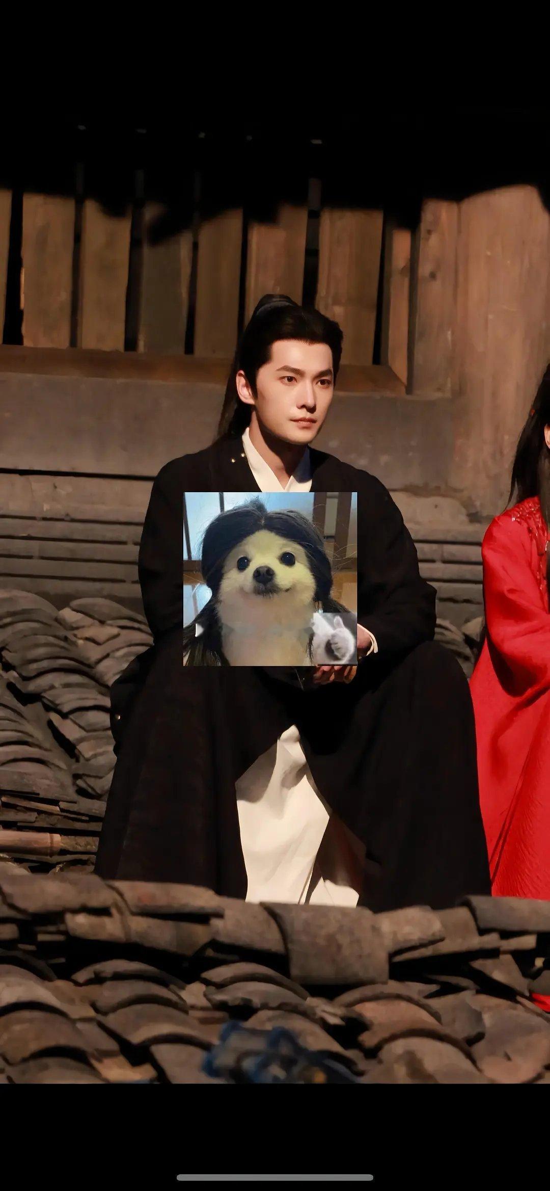 杨洋生图  状态大家觉得怎么样 ​​​