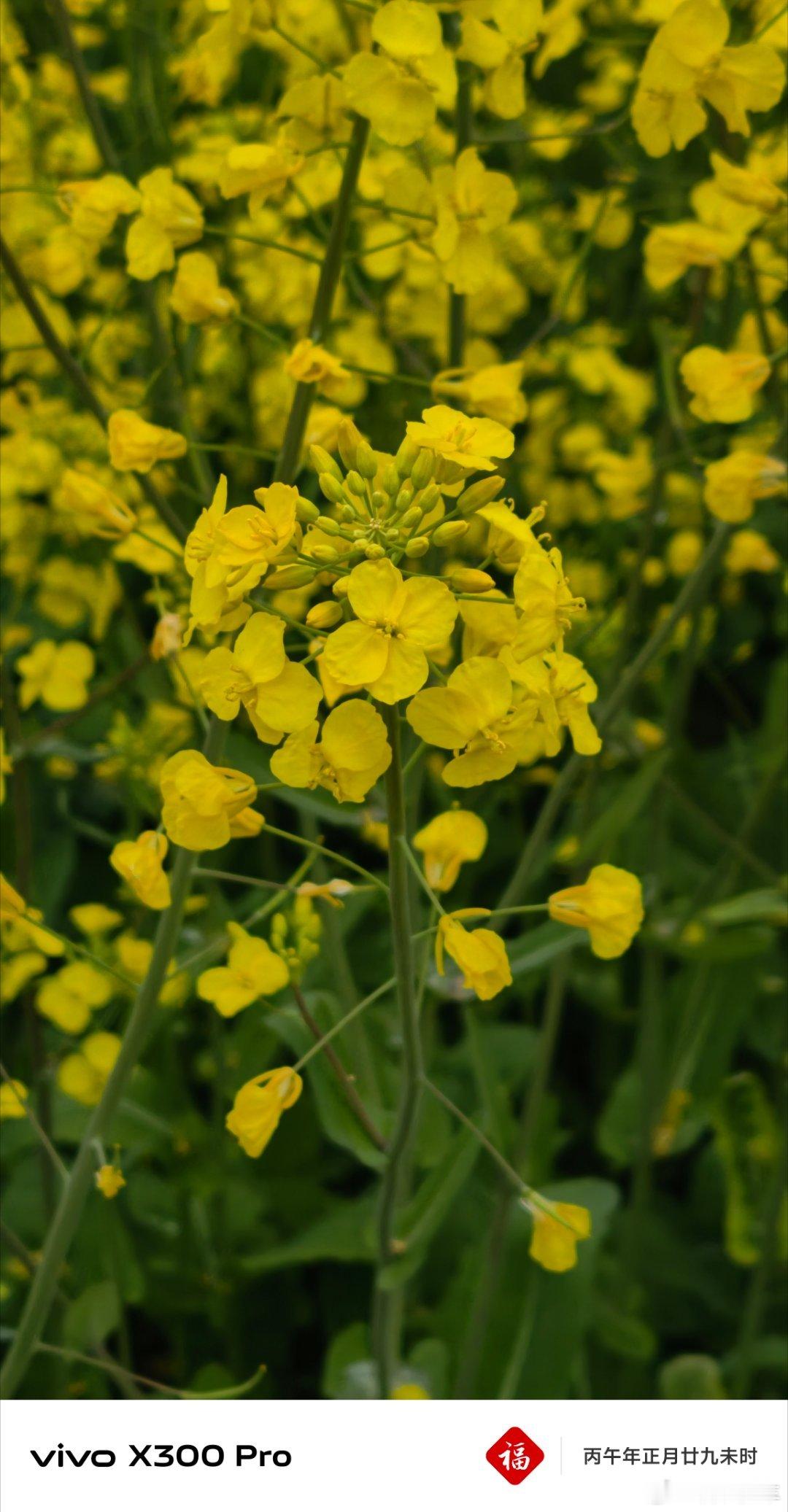 吉利银河 M7 来啦我与汽车的日常启子的车启子的日常吉利银河m7 上饶·婺源