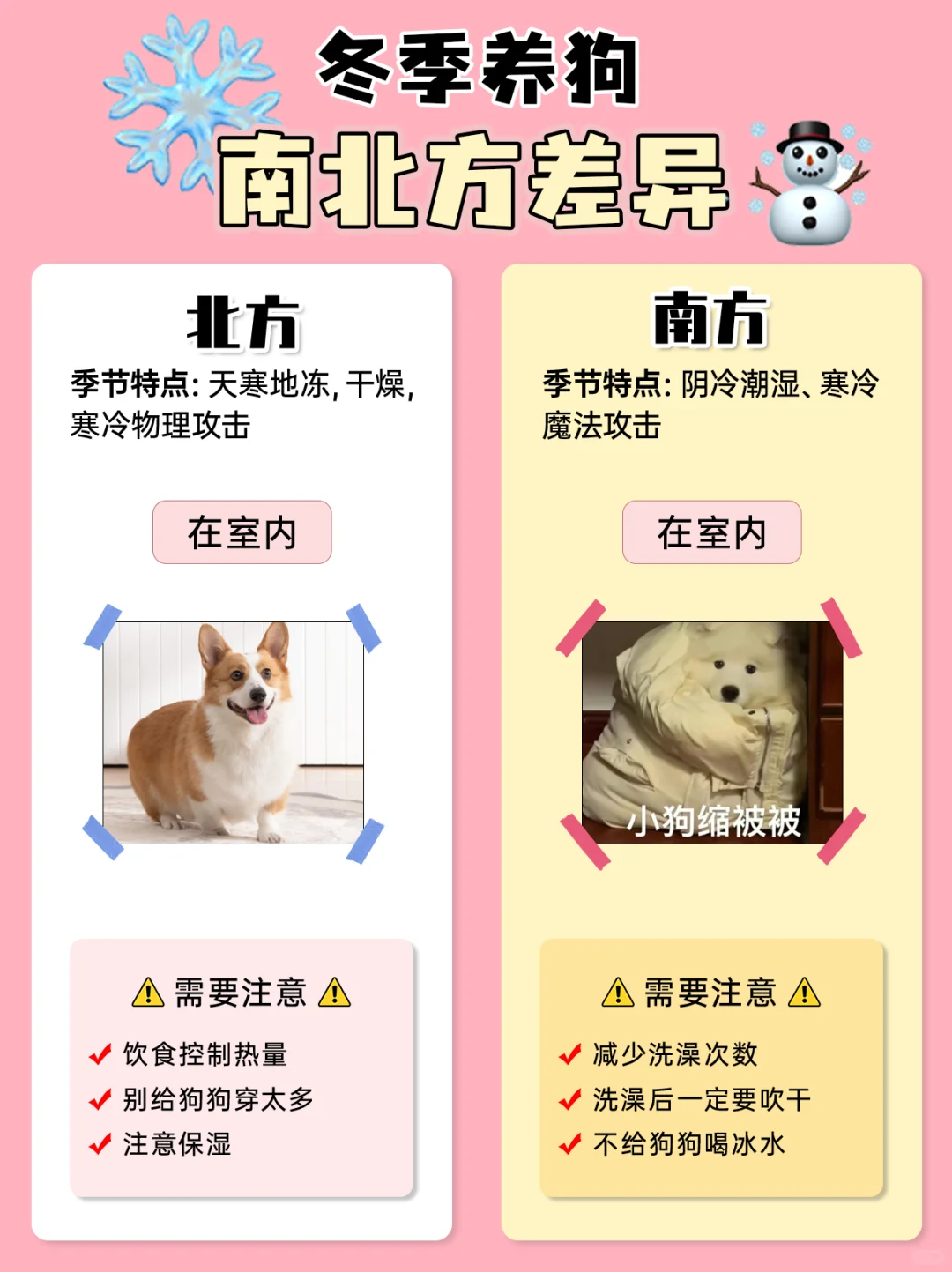 冬季养狗南北方有差异🤧狗狗冬天怎么保暖❓