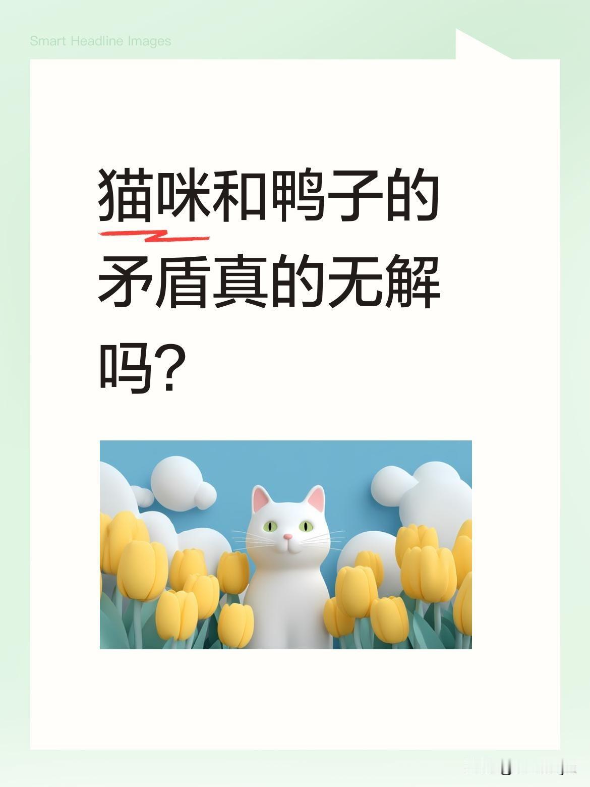 猫咪和鸭子的矛盾真的无解吗？
"咋了咋了？又打起来了？还是他惹你了？"主人无奈的