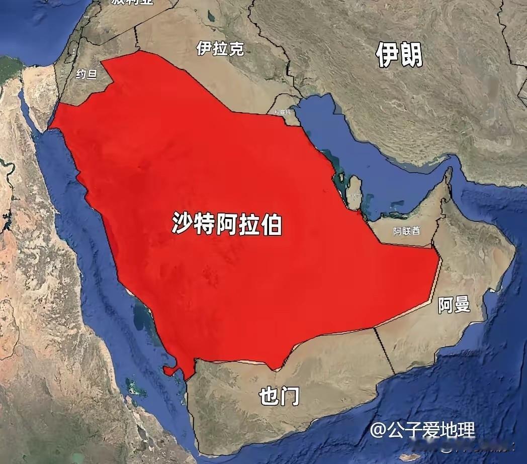 你根本不相信的事实：沙特是世界最大粮食出口国之一。

一说到沙特，你肯定想到沙漠