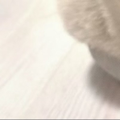 每日一善 2.只把一件事做好，就是生活本初的节奏，再忙再累的日子都会云淡风轻，再