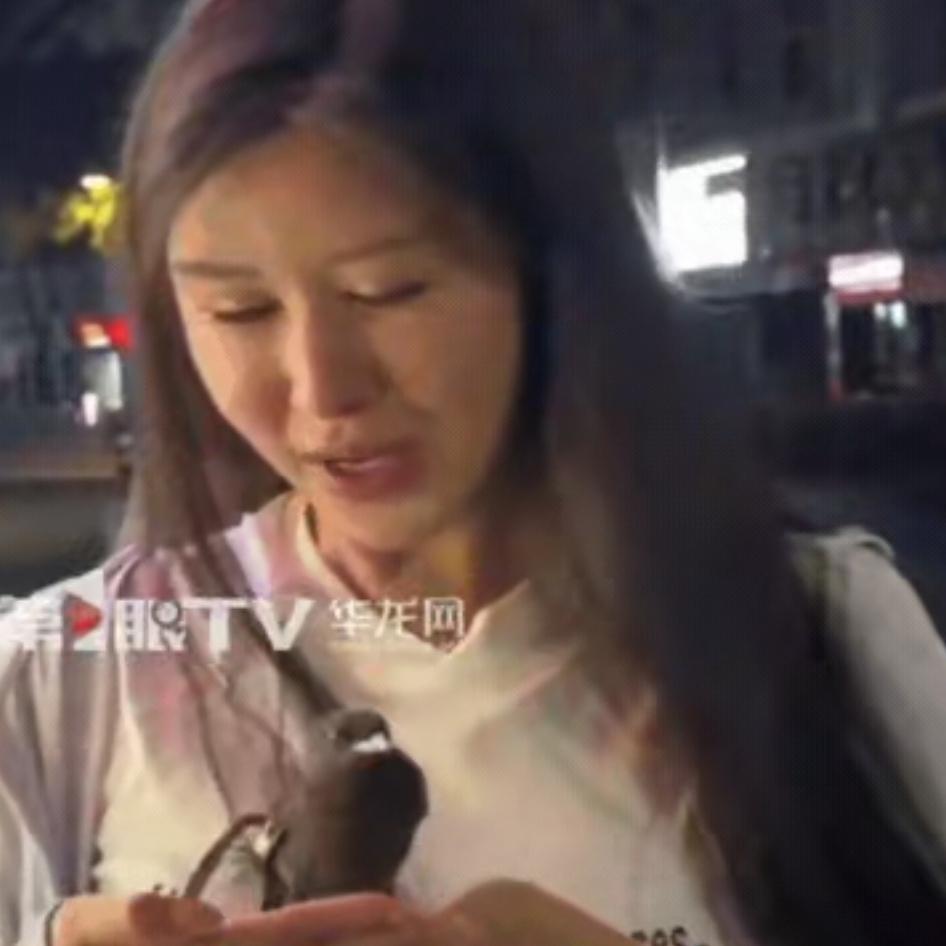 万物有灵！小鸟执意赖上陌生女子，缘分一幕看哭众人
 
万物有灵，江西，女子在外面