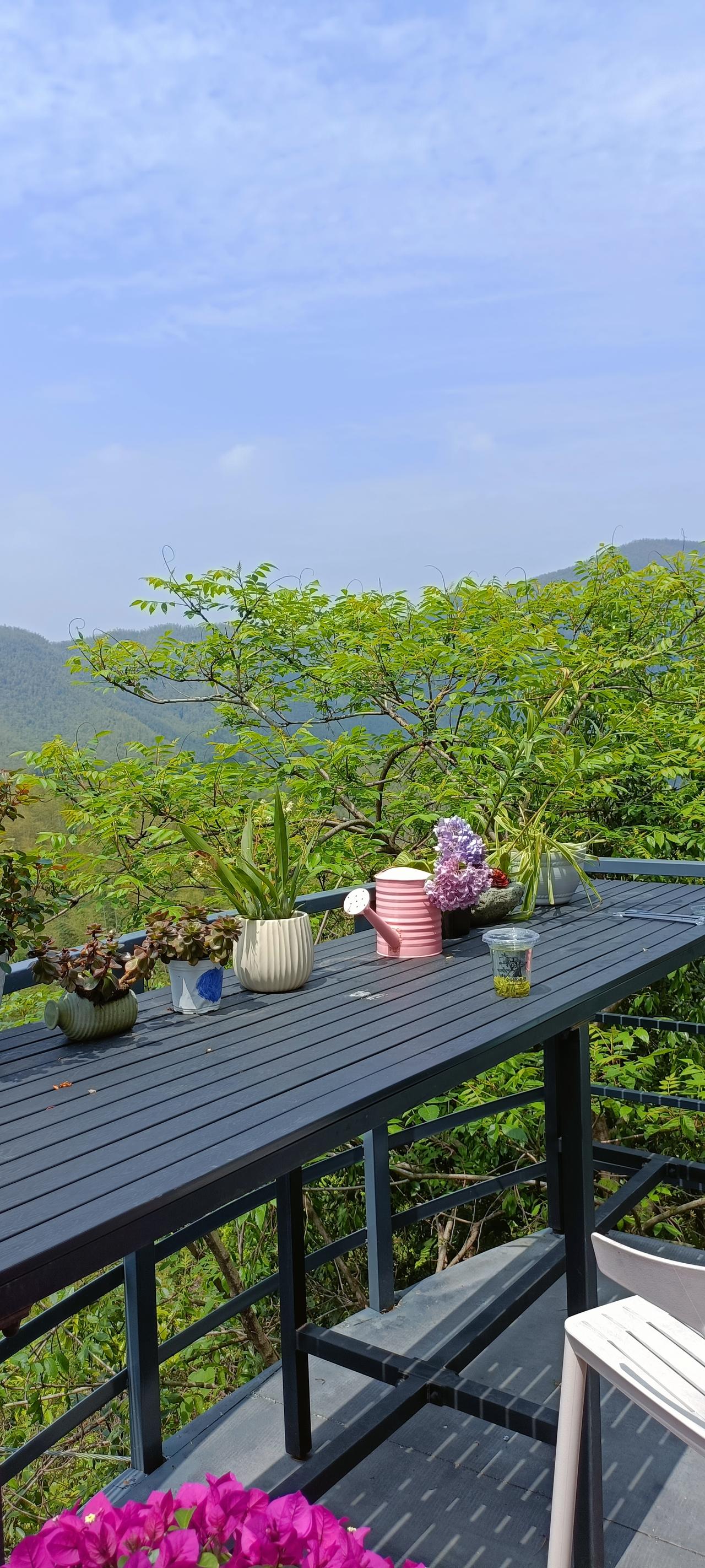 阳光洒满的露台，绿植点缀的静谧时光。
上联:绿树阴中见，
下联:芳菲满目春。