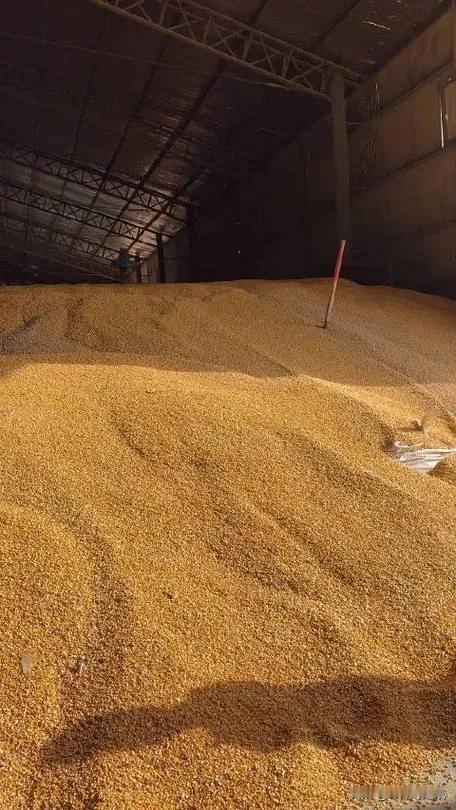 #上联：春播千亩稻；诚邀下联#秋收万仓谷