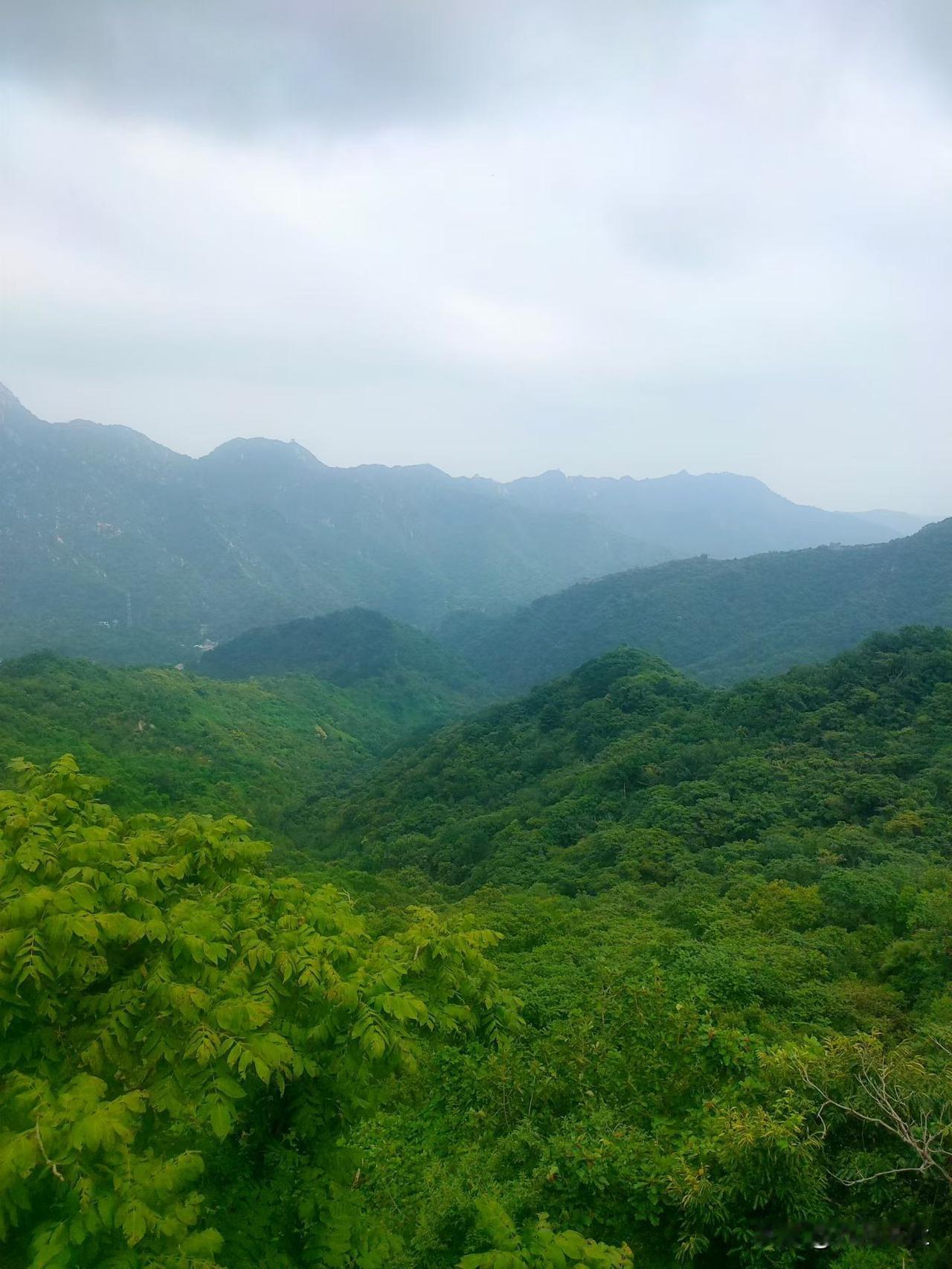 秋日生活打卡季来打个卡，秋天快乐。