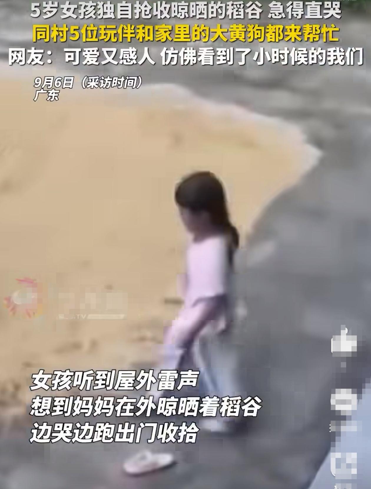 9月6日，广东一段视频在网上火了。一位5岁的小女孩听到屋外打雷了，突然想起妈妈晒