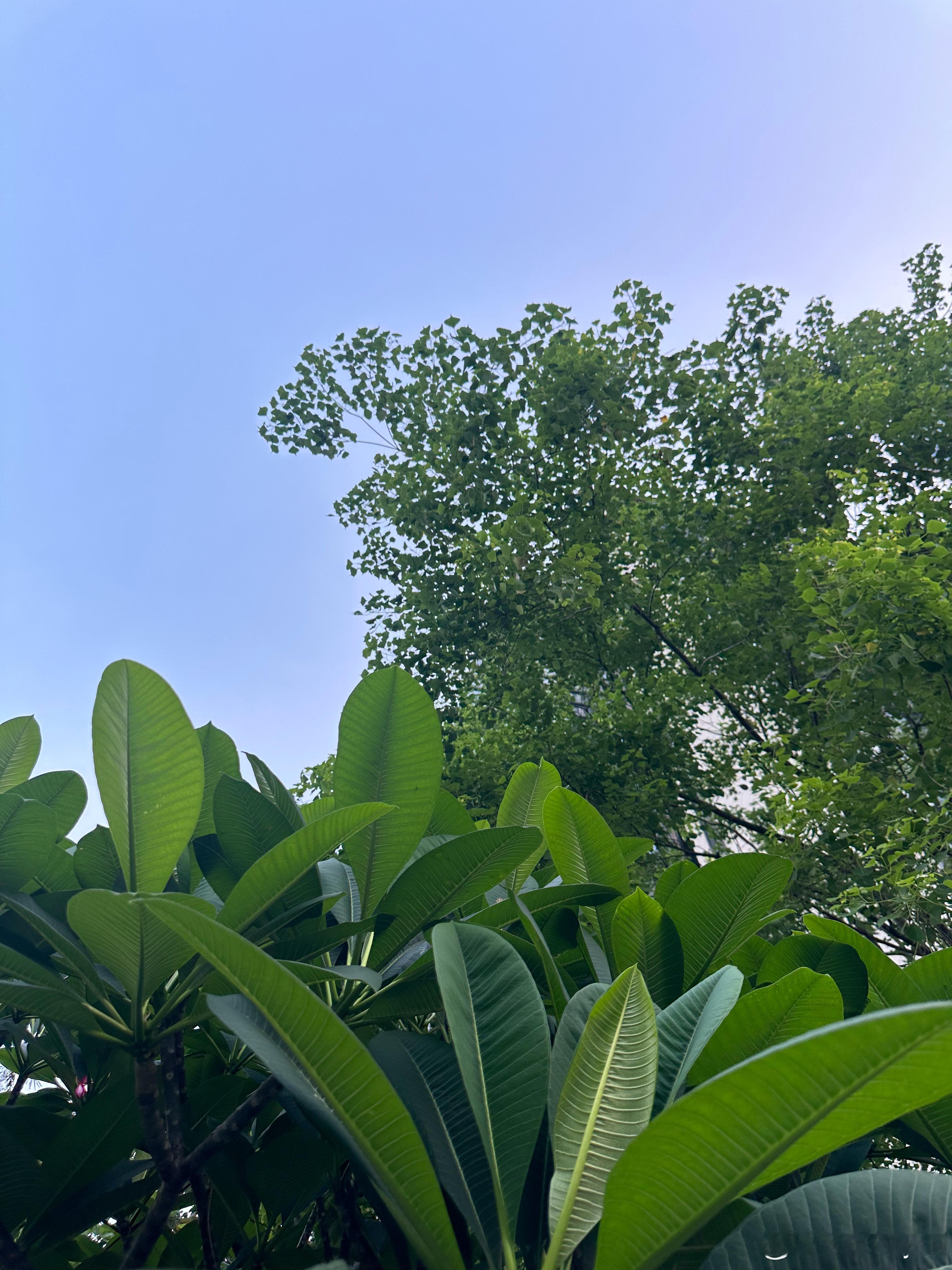 生活无论苦甜，都好好享受每一天。人生无论得失，看开了就有希望。脚下的路无论直弯，