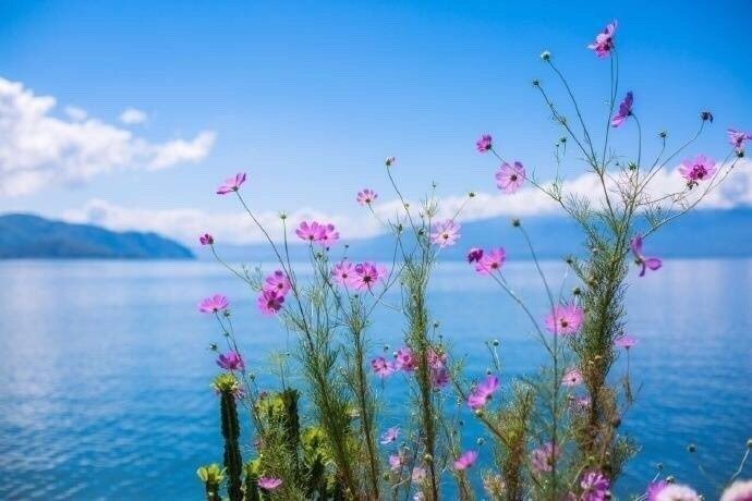 看尽苍山洱海，体会风花雪月！ 