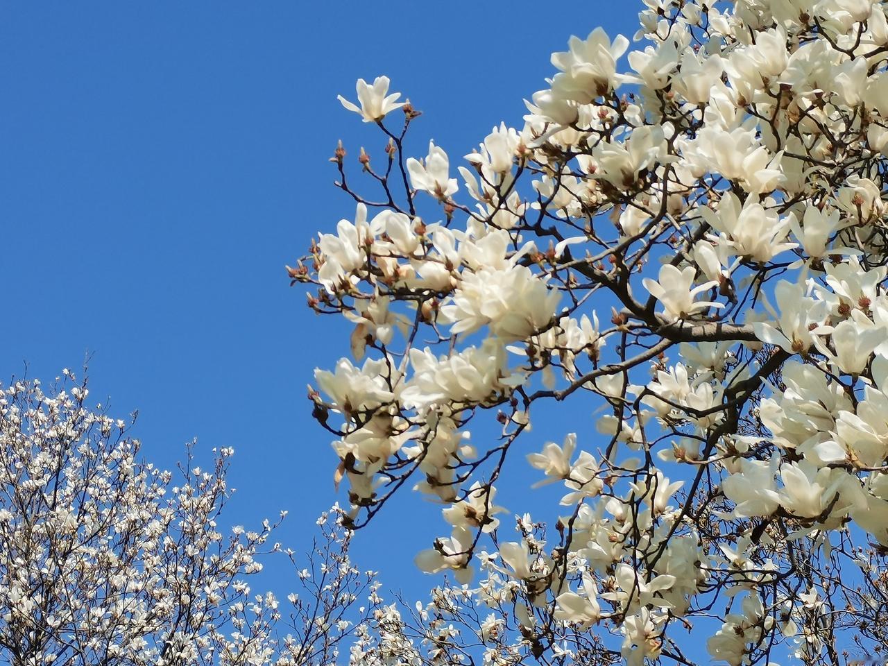 上联：叶落秋意重，
下联：花飘春色浓。