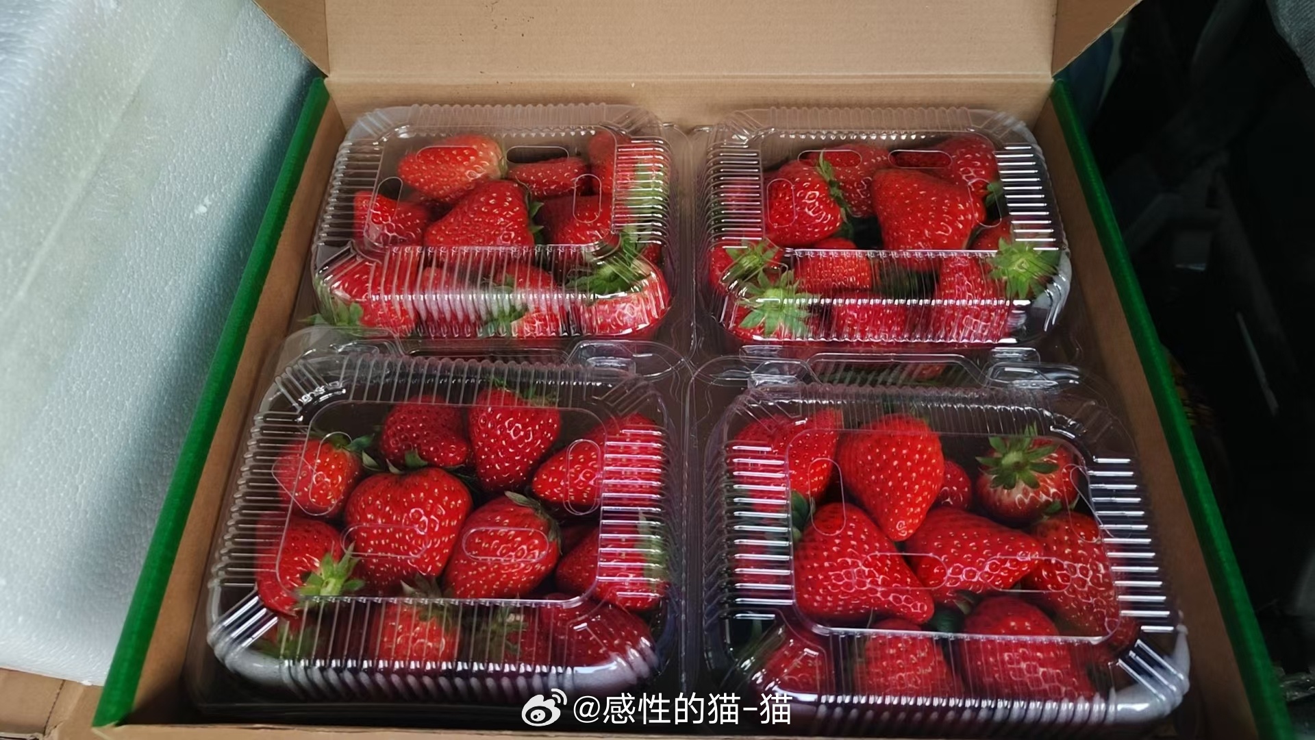 今天的草莓🍓实在太赞了，超级新鲜超级好吃[比耶] ​​​